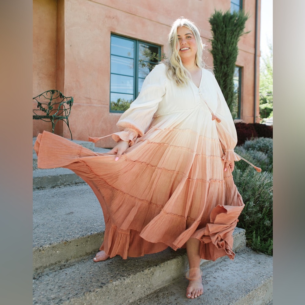 Ivy City Co Sahara Dress in 2x